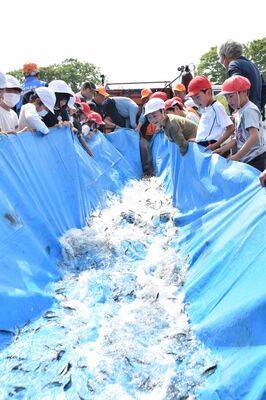 那珂川に一斉放流される稚アユを見送る児童たち
