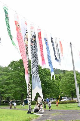 優雅に泳ぐこいのぼり＝３日午前、佐野市飛駒町