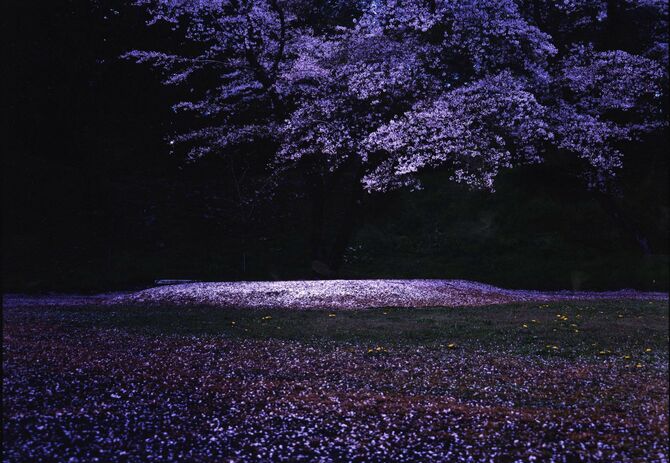 第27回(6月分)銅賞に選ばれた君島さんの作品「マウンド」