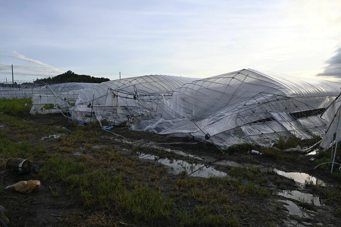 大雨と突風の被害を受けたビニールハウス=5日午後5時半、小山市福良