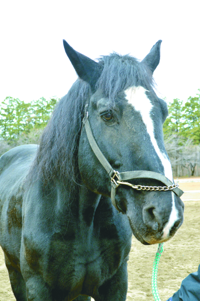 穏やかで優しいキャラクターの蓮くん