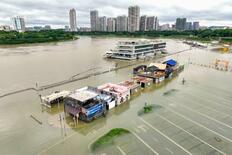 豪雨でヘビ９００匹脱走、中国