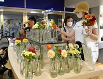 東武宇都宮百貨店で好きなダリア選んで摘んで　初日は１時間で完売　10日まで