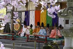 桜と雅楽共演　
