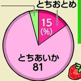 作付面積８割が「とちあいか」に　栃木県内2025年産イチゴ　「とちおとめ」から進む転換、背景は