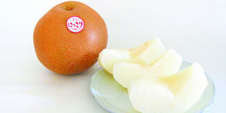 食べて「にっこり」とちぎ生まれの大きなナシ「えきの市場」内JAうつのみや農産物直売所