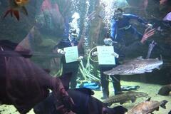 新たな一歩 自分らしく