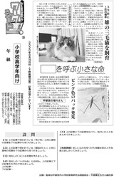 雄の三毛猫を飼育　ピンク色のバッタ発見