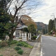 鹿沼でクマに襲われ男性けが、上半身に深い傷　猟友会が個体を駆除　目撃者「こんな怖い…