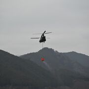 鹿沼の山林火災、4日間消火活動も鎮圧の見通し立たず　焼失は66haに下方修正
