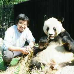 中国へパンダ返還、栃木県からも惜別の声　元飼育員、餌の竹を供給…「いつか再び」会えると願って