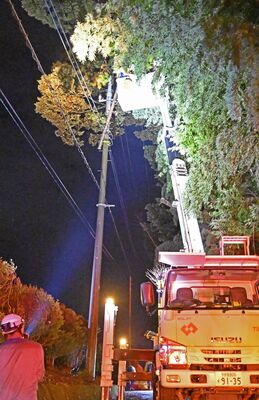 停電の原因となった倒木の復旧作業が行われた現場＝１日午後７時45分、芳賀町芳志戸