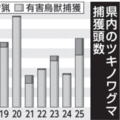 栃木県内の2025年度クマ捕獲数、前年度の2倍 「突出した数ではない」