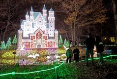 グリムの森で恒例のイルミ
