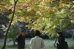 茂木の「瑞光園」あすから一般公開