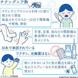 【人と社会と感染症　岡田教授のなるほど講座】（13）チクングニア熱　関節痛が長期にわたることも　日本で流行の可能性も