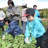那須塩原のおっきな“魅力”親子で体験　塩原大根を収穫