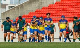 ７日の決勝は京都成章―桐蔭学園