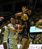 【速報】ブレックス、長崎に快勝し首位浮上