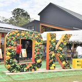 市のシンボル、商品多彩　べに花の郷おけがわ（埼玉）スイーツにも注目
