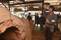 「かさましこ」認定半年