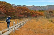 沼原湿原の草紅葉見頃　那須塩原