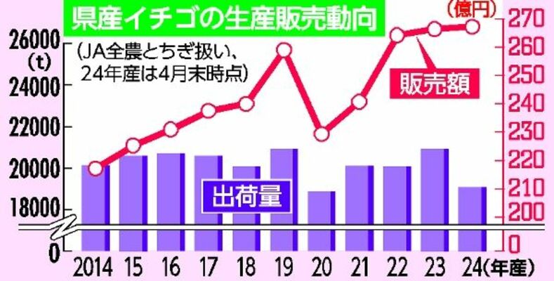 県産イチゴの生産販売動向