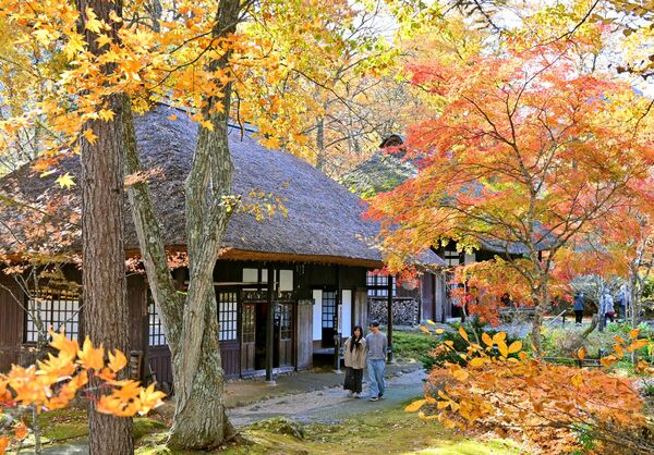 かやぶき屋根の建物の周囲を彩る紅葉＝７日午前10時55分、日光市湯西川温泉
