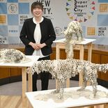 インスタレーション作品手がける五月女さん 「宇都宮エスペール賞」に選出…