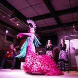 情熱の踊り堪能を　足利市出身の舞踊家・吉澤さんが26日にフラメンコライブ