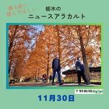 11月30日の栃木県内ニュース　「見上げれば…濃いオレンジ、いい感じ」など3本をお届けします