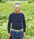 濃厚な味わいとホクホク感で大人気　JAなす南のみなみちゃん南瓜