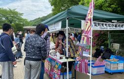 春の観光期44万人入場「コロナ禍影響ほぼ払拭」　あしかがフラワーパークと足利学校