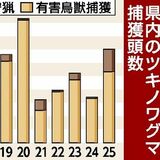 栃木県内の2025年度クマ捕獲数、前年度の2倍 「突出した数ではない」