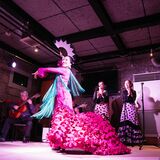 情熱の踊り堪能を　足利市出身の舞踊家・吉澤さんが26日にフラメンコライブ