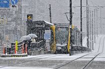 白い街行くＬＲＴ