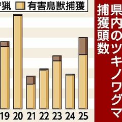 栃木県内の2025年度クマ捕獲数、前年度の２倍　「突出した数ではない」