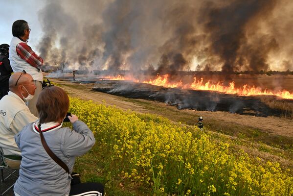 炎と黒煙を上げる渡良瀬遊水地のヨシ原=14日午前9時25分、栃木市藤岡町内野