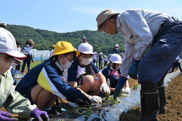 会員の指導を受けながら苗を植える児童ら