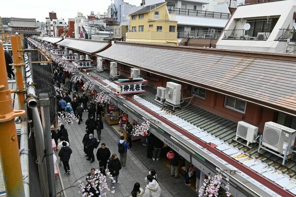 カナメが銅板屋根を全面ふき替えした浅草寺の仲見世＝６日午後、東京都台東区