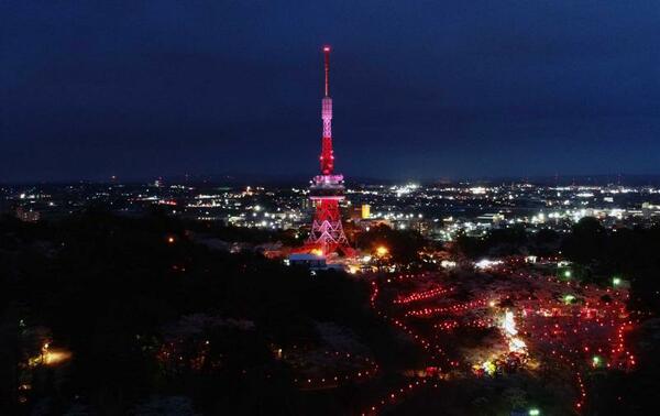 八幡山公園の花見期間に合わせてピンク（桜）色にライトアップした宇都宮タワー。足元にはぼんぼりの明かりもきらめく。ドローンで撮影したが、県庁１５階展望ロビーからも同様の眺めを味わえる＝４月１５日、河野光吉撮影