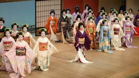 五花街芸舞妓、華やかに