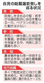 若手先導、参院は様子見