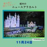 11月24日の栃木県内ニュース　「色とりどりの光が “おとぎの世界” 演出　下野・グリムの森でイルミネーションスタート」など3本をお届けします