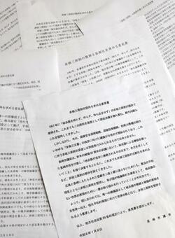 非核三原則、８２議会が意見書