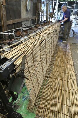 最盛期を迎えたよしず作り＝21日午前11時25分、栃木市藤岡町部屋
