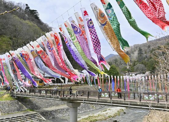 那珂川の上空でそよぐこいのぼり
