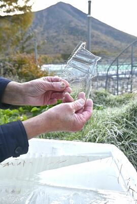 戦場ケ原で確認された初氷＝24日午前６時45分、日光市中宮祠