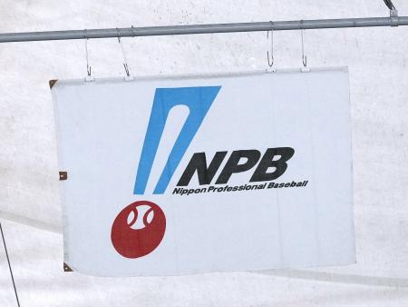 危険スイング」処分検討 NPB、今季中から適用も｜全国のニュース
