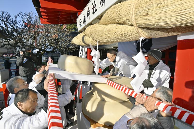100枚ウラジロ 50-60cm目安 みかん箱パンパン詰めます しめ飾り 鏡餅
